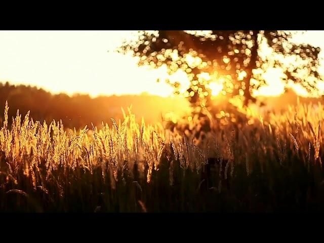 Анатолий Камчатский-Еще не осень