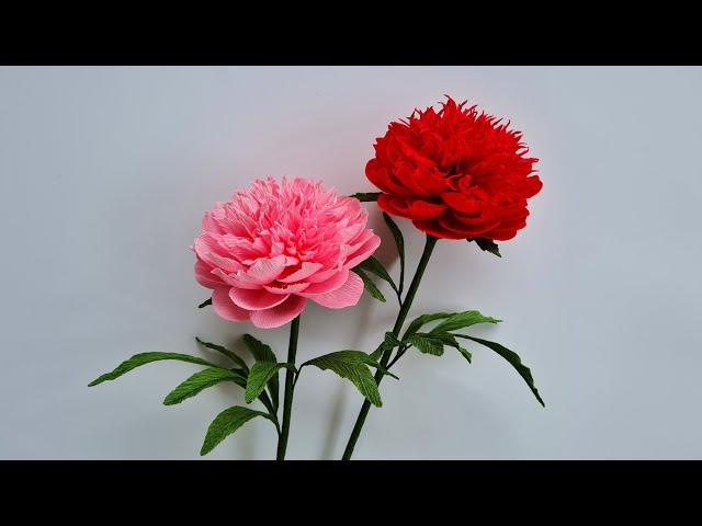 How To Make Peony Paper Flower / Paper Flower / Góc nhỏ Handmade