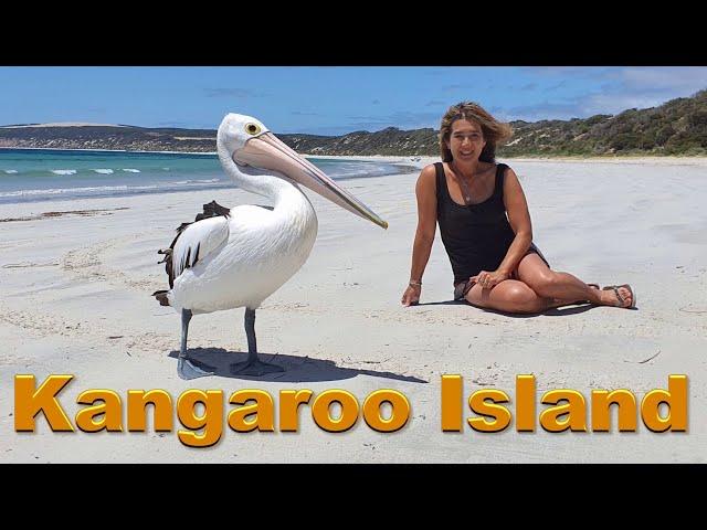 Kangaroo Island,  The Best things to see. South Australia.