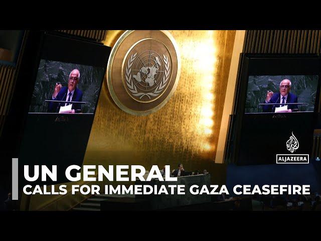 UN general assembly vote: Resolution calls for immediate Gaza ceasefire