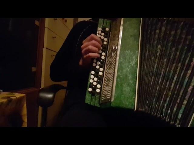 ACCORDION "MOLODECHNO 2" TEST ***SOLD***