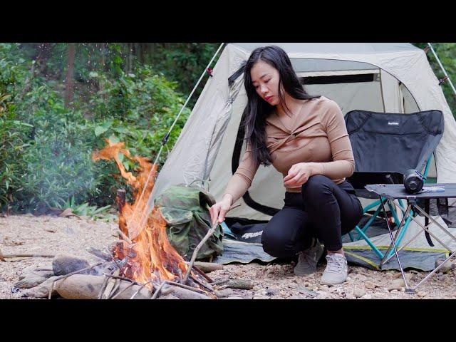 Solo Camping in the forest on New Year's Day - Susu Vlog