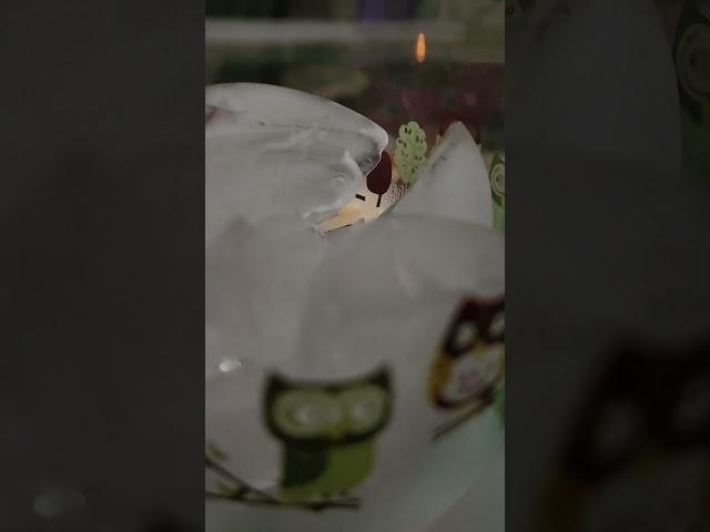 Fizz Fizz