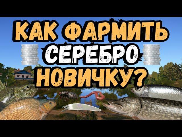 КАК ФАРМИТЬ СЕРЕБРО НОВИЧКУ В РР4? ● Русская Рыбалка 4 | РР4