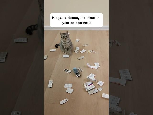 Жиза?  #блогер #юмор #отпуск #рецепт #albinamysh #топ #любовь
