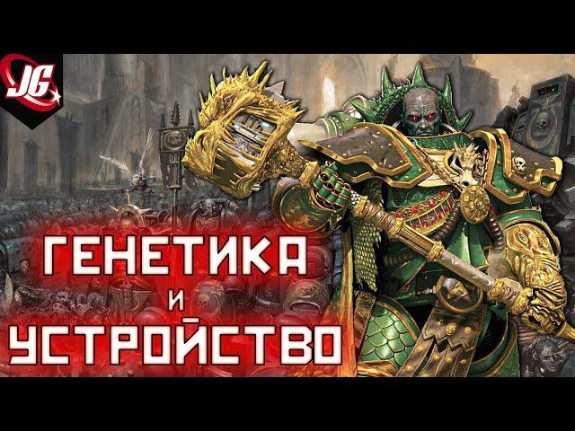 Генетика и устройство космодесанта | Лояльные ордена (Warhammer 40k)