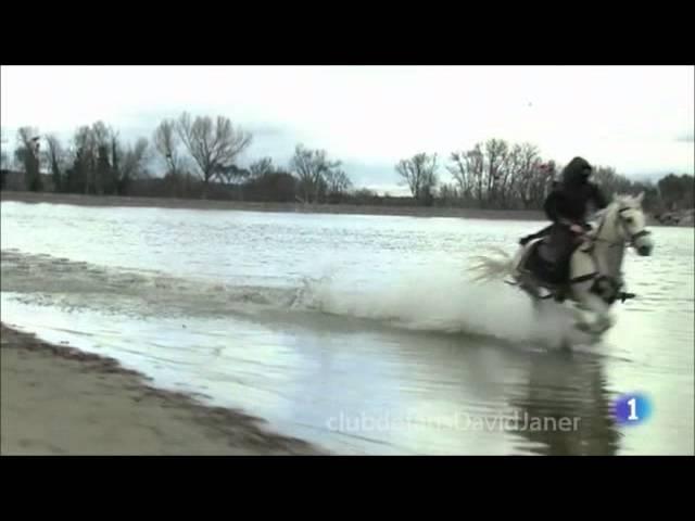 AGUILA ROJA GALOPA  EN SU CABALLO, PARA OLVIDAR SUS PROBLEMAS.