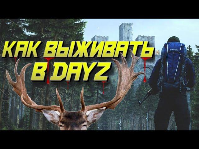 КАК ВЫЖИВАТЬ В DAYZ В 2023 ГОДУ|ГАЙД ДЛЯ НОВИЧКОВ УРОКИ ВЫЖИВАНИЯ В ЛЕСУ