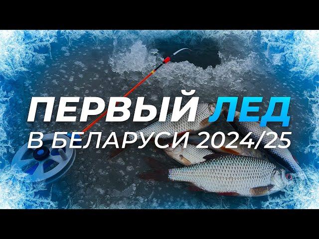 ПЕРВЫЙ ЛЕД 2024/25 В Беларуси ОТКРЫТ! ОКУНЬ, ПЛОТВА на безмотылку на малой реке.