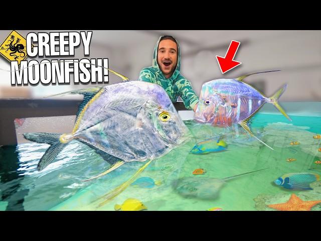 Catching WILD FISH Under CREEPY BRIDGE For My SALTWATER POND!