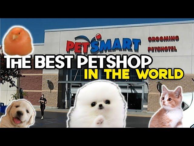 PETSMART City of Industry • THE BEST Pet store in the WORLD