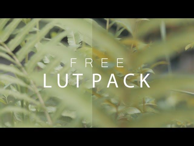 Cinematic LUTs Pack | TOP 3 FREE AMAZING LUT TO DOWNLOAD | Adobe Premiere PRO CC 2019