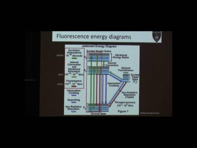 Introduction to fluorescence lifetime imaging