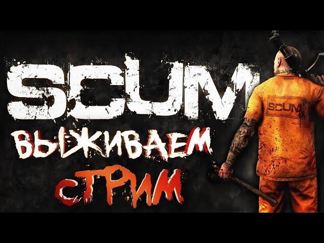 SCUM|SOLO|СТРИМЕР ПРИБОЛЕЛ))))