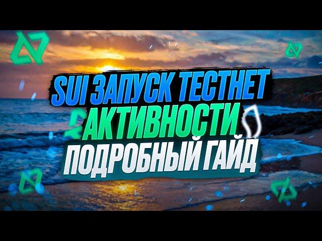 WALRUS (SUI) ТЕСТНЕТ АКТИВНОСТЬ | ПОДРОБНЫЙ ГАЙД