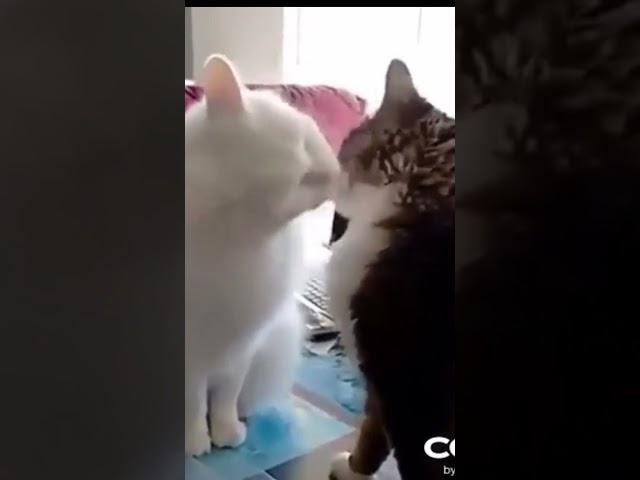Любоф