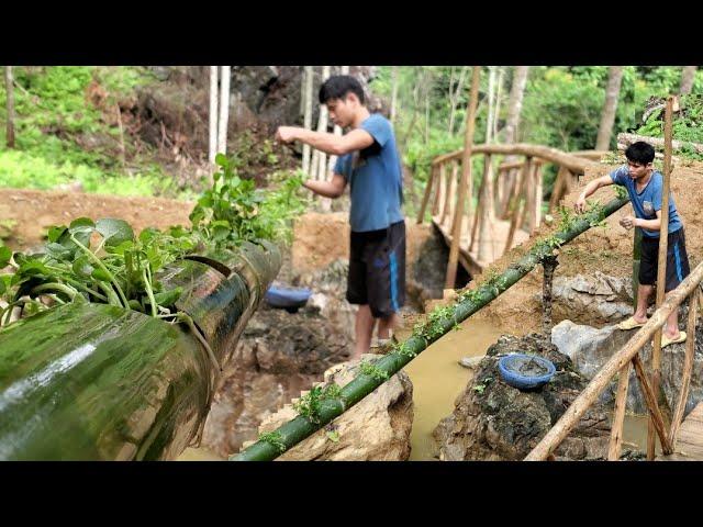 grow hydroponic vegetables with bamboo tubes -Building New Life. Ep. 36