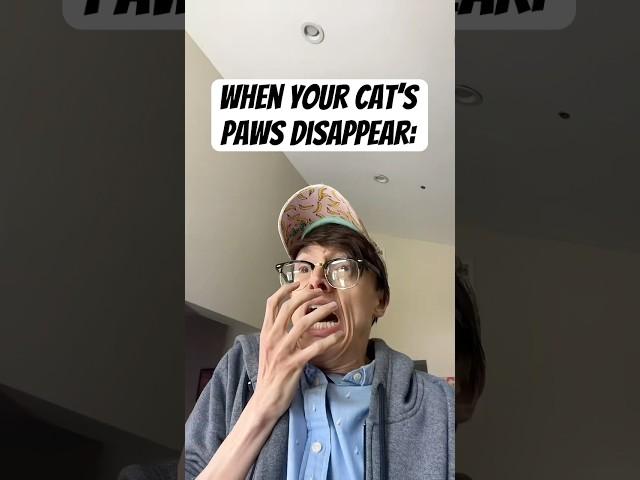 When Your Cat Goes into LOAF mode #TheManniiShow.com/series