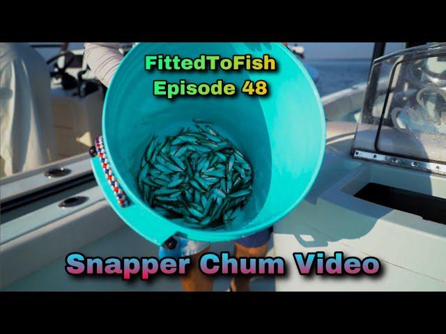 Best Bait To Use For Snapper Chum