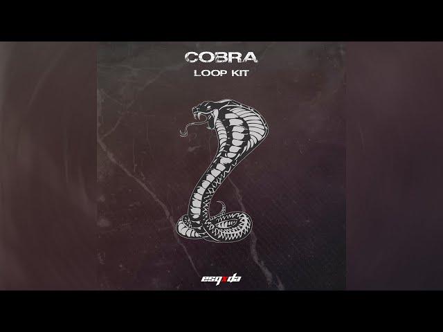 [FREE] (15+) DRILL LOOP KIT 2024 "COBRA" (Dark, Ethnic, Vocal)