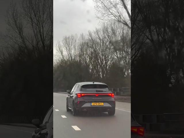 New Cupra Leon                                 #cupra #trending #shorts
