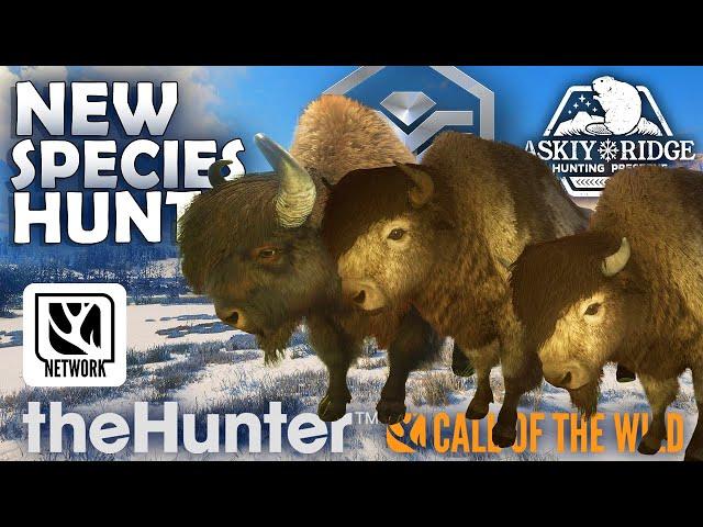 Hunt for NEW SPECIES Brings FIRST DIAMOND & 2 RARES in Askiy Ridge!!!  (Early Access)