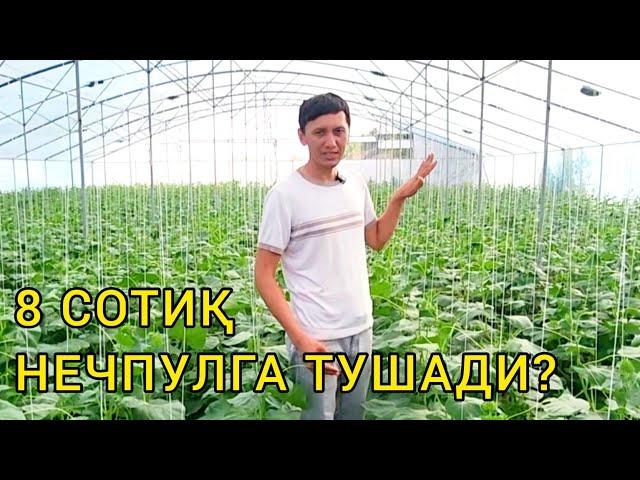 Теплица қуриш қанчага тушади / Teplisa qurish/ 8 сотиқ