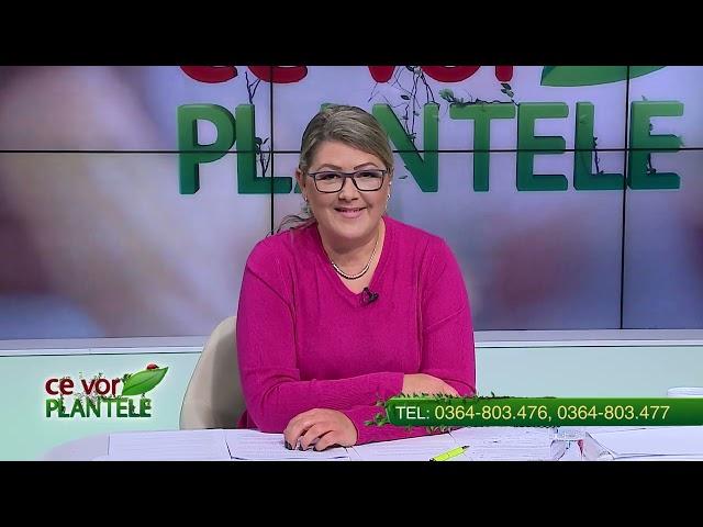 CE VOR PLANTELE CHRISTINA GHIBU   P1   04.11.2024