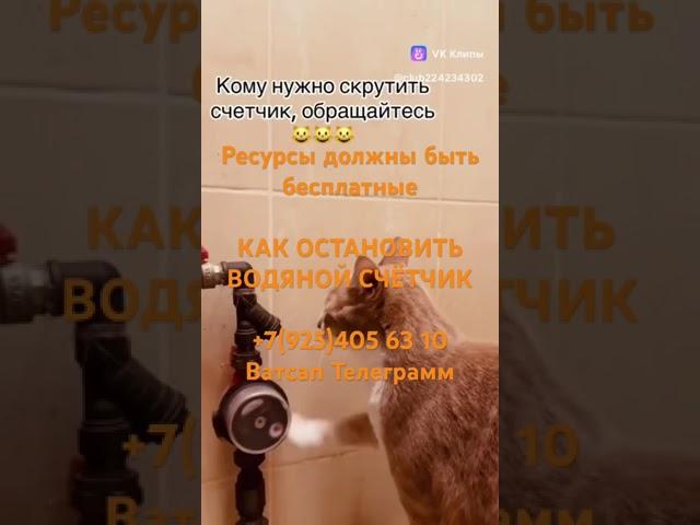 Научу любого как остановить любой счётчик и сделать любую пломбу