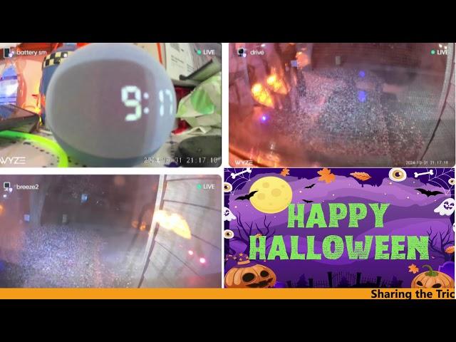 Halloween Trick or Treat IRL