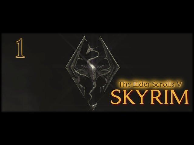 Let's Play Skyrim 1 - Sassyrogue the Wood Elf!