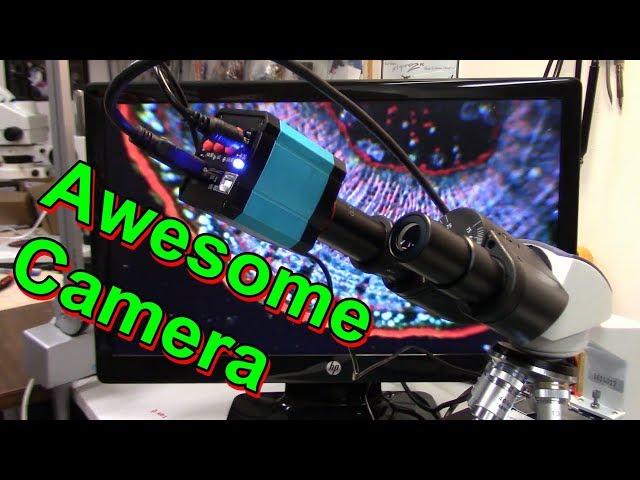 Cheap HD Microscope Camera Review - Compound & Stereo scope examples.