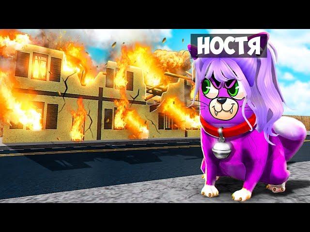 СТАЛА ПЛОХОЙ КОШКОЙ в ROBLOX !  Роблокс Bad Cat