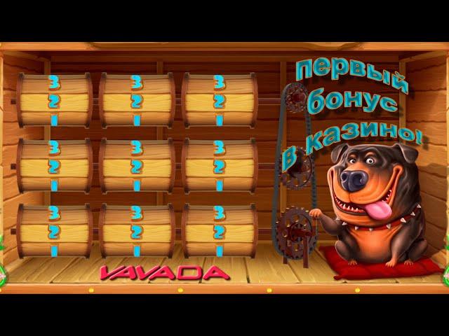 Первая бонуска в Dog House на VAVADA!