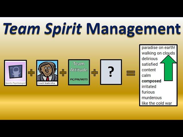 Team Spirit Management