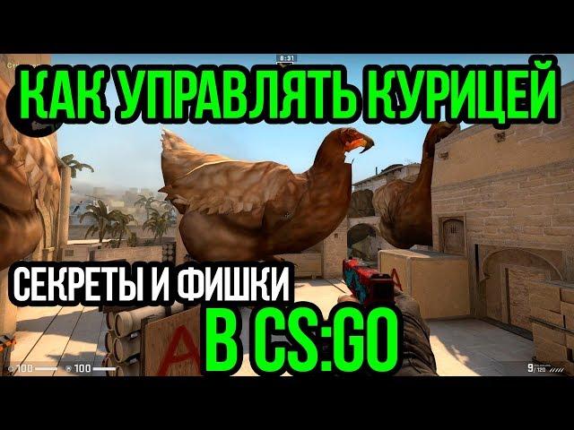 КАК УПРАВЛЯТЬ КУРИЦЕЙ В КСГО? СЕКРЕТЫ И ФИШКИ CSGO. ПОЛНЫЙ ГАЙД ПО КУРИЦАМ