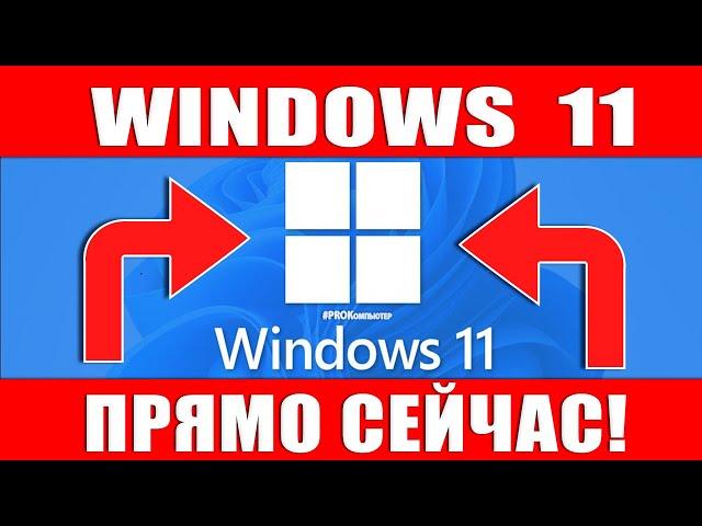 Как скачать и установить Windows 11 Insider Preview (Build 22000.51)