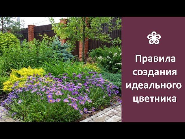  Правила создания идеального цветника