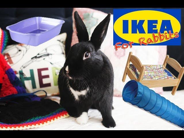 Things You Can Buy at IKEA for Rabbits!