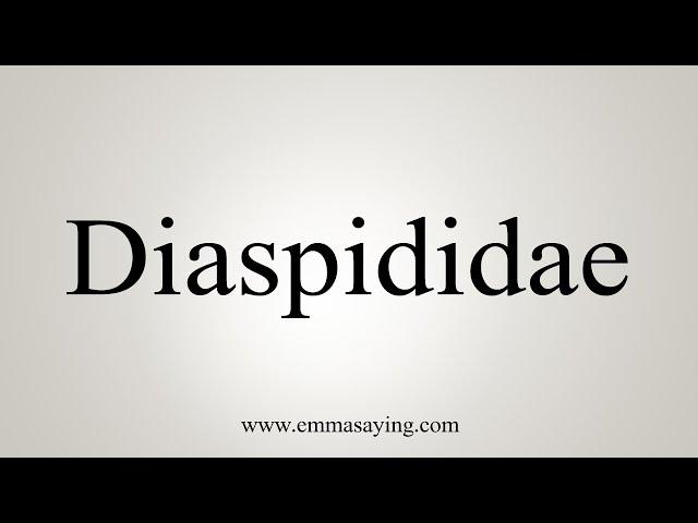 How To Say Diaspididae