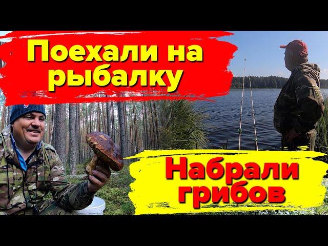 Поехали на рыбалку, набрали 10 ВЕДЕР ИЗБРАННЫХ ГРИБОВ! Не смогли все довезти, не хватило места.