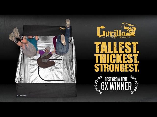 The Gorilla Grow Tent OG 5'x5' - Our #1 Best-Selling Grow Tent