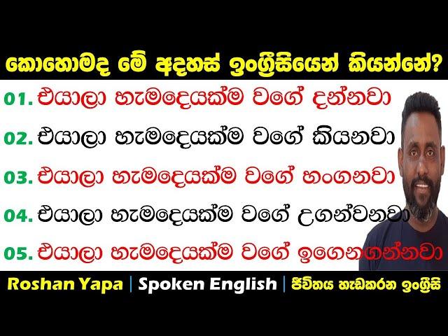 එයාලා හැමදෙයක්ම වගේ දන්නවා|කොහොමද ඉංග්‍රීසියෙන් කියන්නේ?|Spoken English in Sinhala for beginners