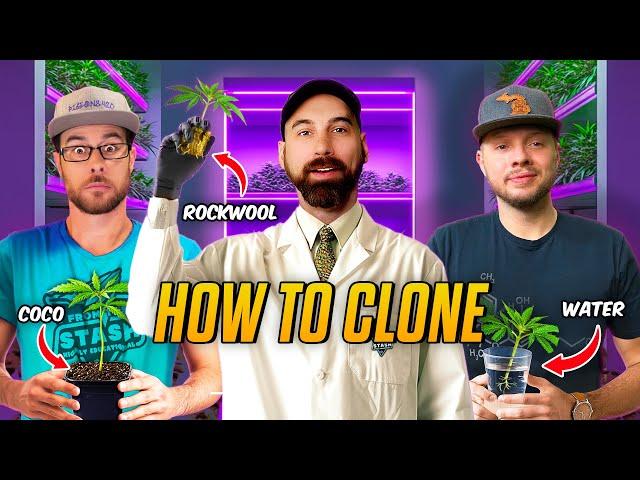 How to Clone Cannabis in Different Mediums | From The Stash: Highly Educational Ep. 5