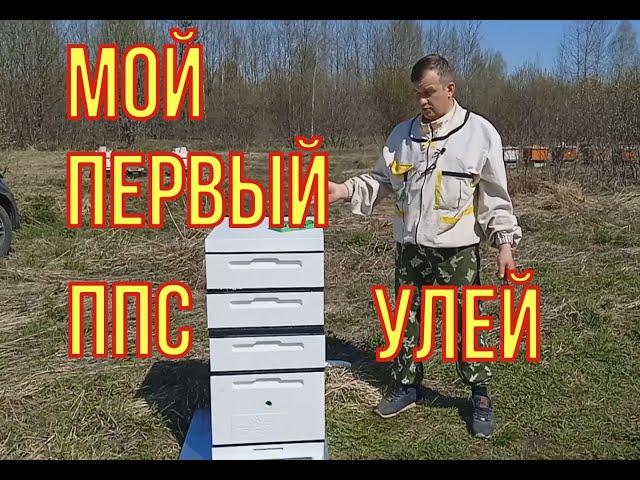 Мой первый улей ППС на пасеке. Так ли хороши ППС  ульи. Полный обзор улья от компании "пеноулик".