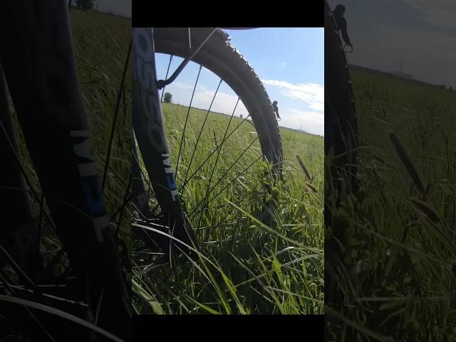 Все самое интересное начинается со слов "Я знаю короткую дорогу"