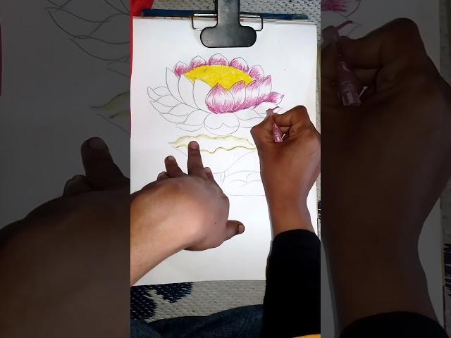 Lotus drawing, Lotus drawing easy,#drawing @BC ART NAV