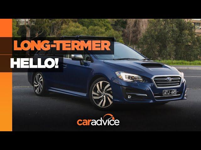 Subaru Levorg 2.0 GT-S long-term review: Introduction