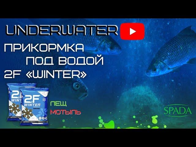 "UNDERWATER 2F" НОВОЕ ВИДЕО!!! ЛЕЩ ПОД ВОДОЙ!!! ПРИКОРМКА ЗИМНЯЯ ЛЕЩ (МОТЫЛЬ)