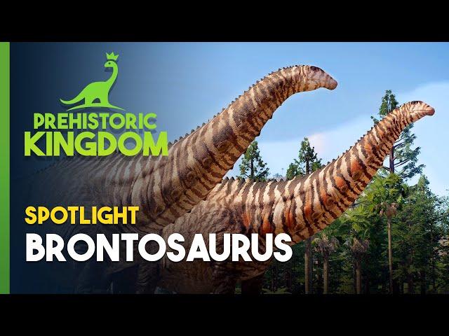 Prehistoric Kingdom | Brontosaurus Spotlight